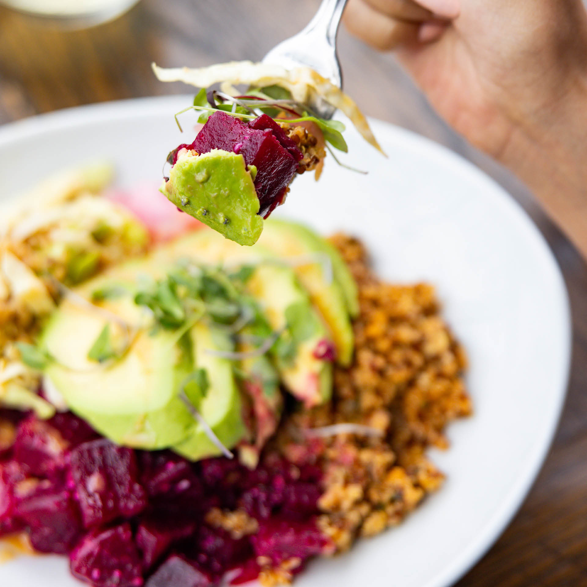 dish organics guarantee